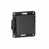 SBDV-00199 - ATLASDESIGN SMART 2-клавишный ВЫКЛЮЧАТЕЛЬ с подсветкой, Zigbee, сх.5, L+N, 10А, механизм, КАРБОН, ATN001053Z