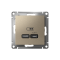 ATN000527 - AtlasDesign USB РОЗЕТКА тип-C 65W высокоскоростная зарядка QC, PD, механизм, ШАМПАНЬ